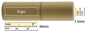 the logo size of Eco Tube USB Flash Drive