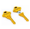 Picture for category Key Shaped USB 
