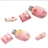 Picture of Rubber Pig USB Flash Drive