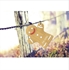 Picture of Gingerbread Man USB Flash Drive 