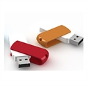 Picture of Twister USB flash drive